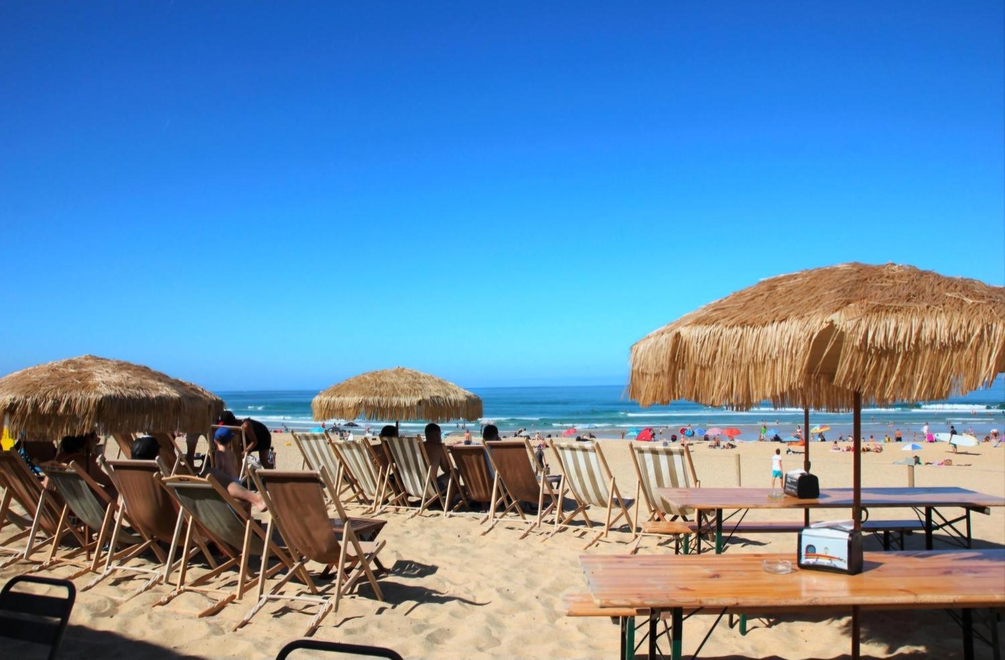 Appartement Avec Terrasse/Bord De Mer/Ideal Surf 세노스 외부 사진